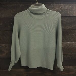 Teal ribbed turtleneck sweater